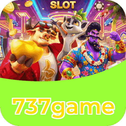 Interface 737game